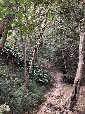 畑土を名古屋市 長楽寺にお届け(寺社内)