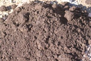 畑の黒土写真